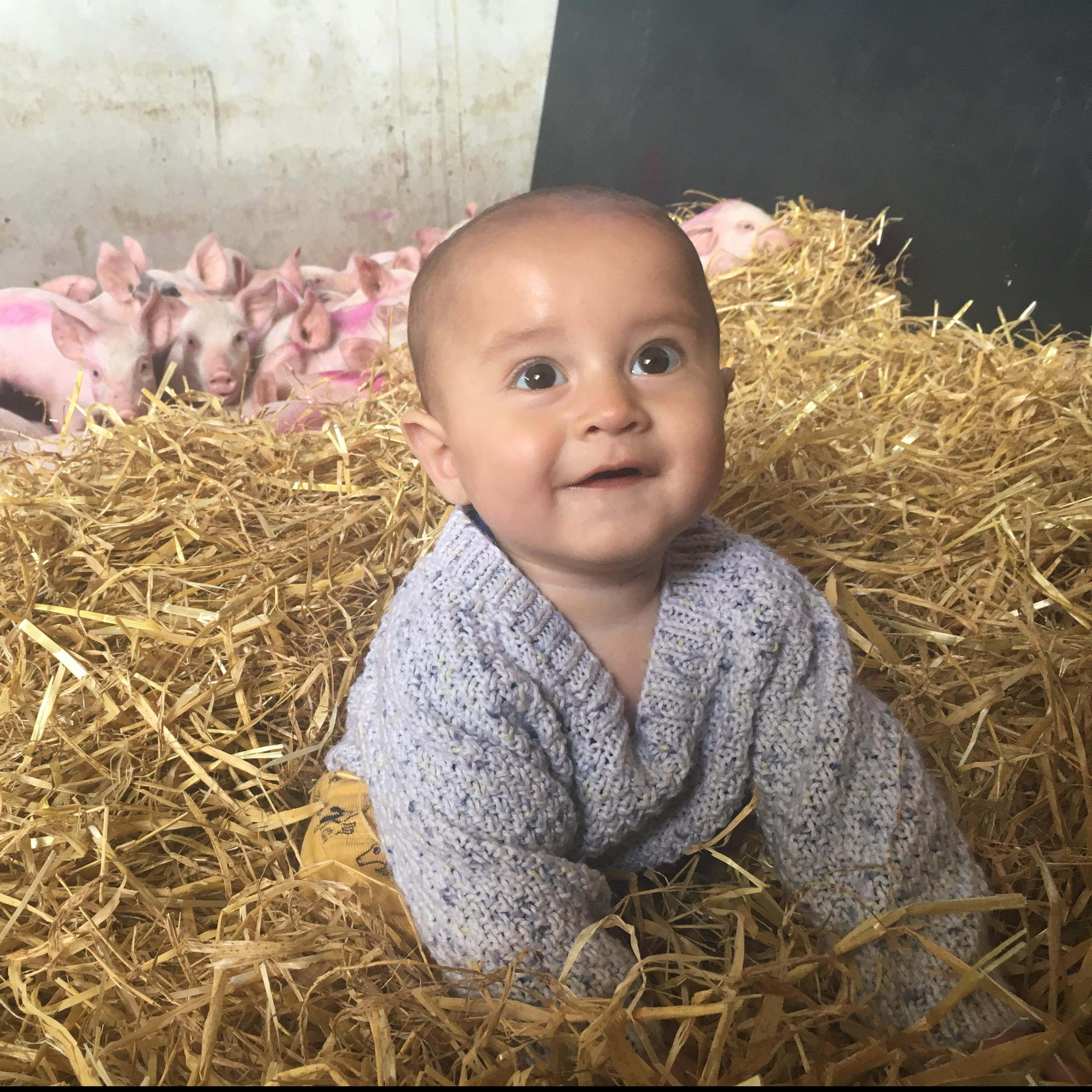 arther and piglets 08 03 2018 11 10 38 4032x3024